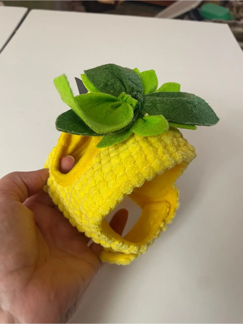 Cat Pineapple Costume Headpiece - Yellow with Green Leaves
